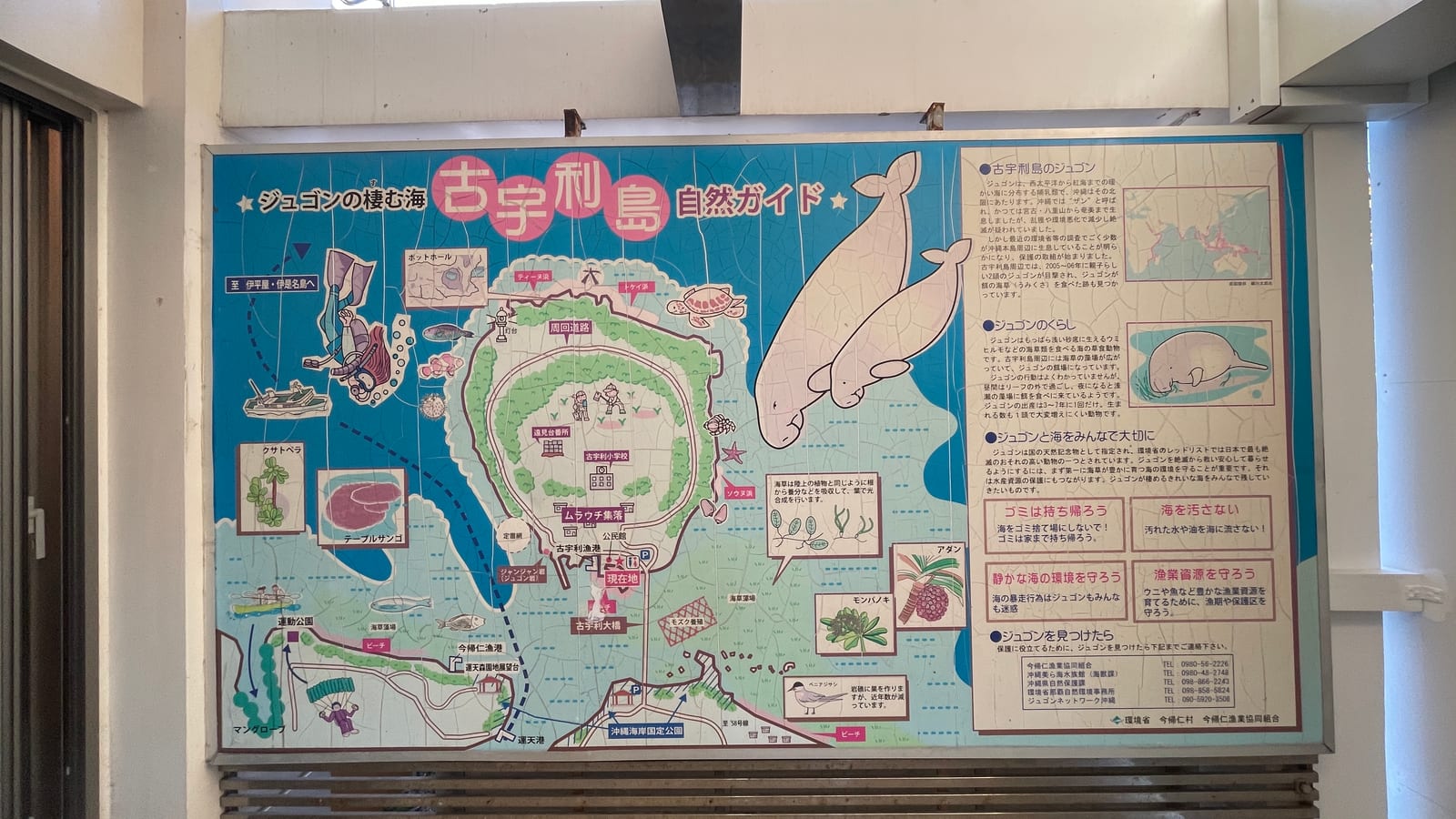 沖繩北部景點古宇利島一日遊 2-1