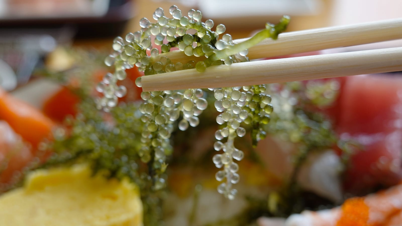 沖繩古宇利島海鮮食堂錦屋 5-3