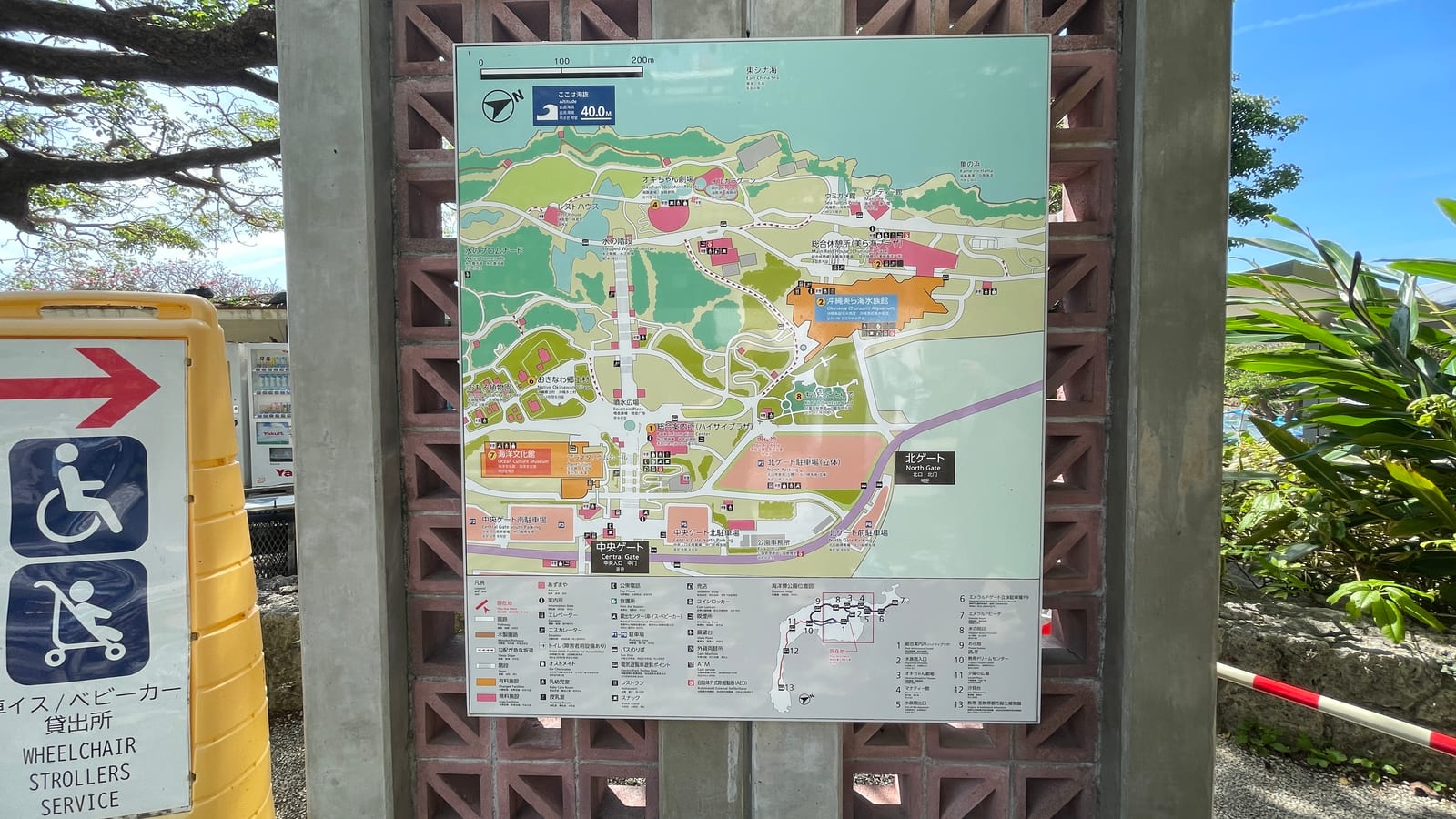 沖繩海洋博公園景點 5-2