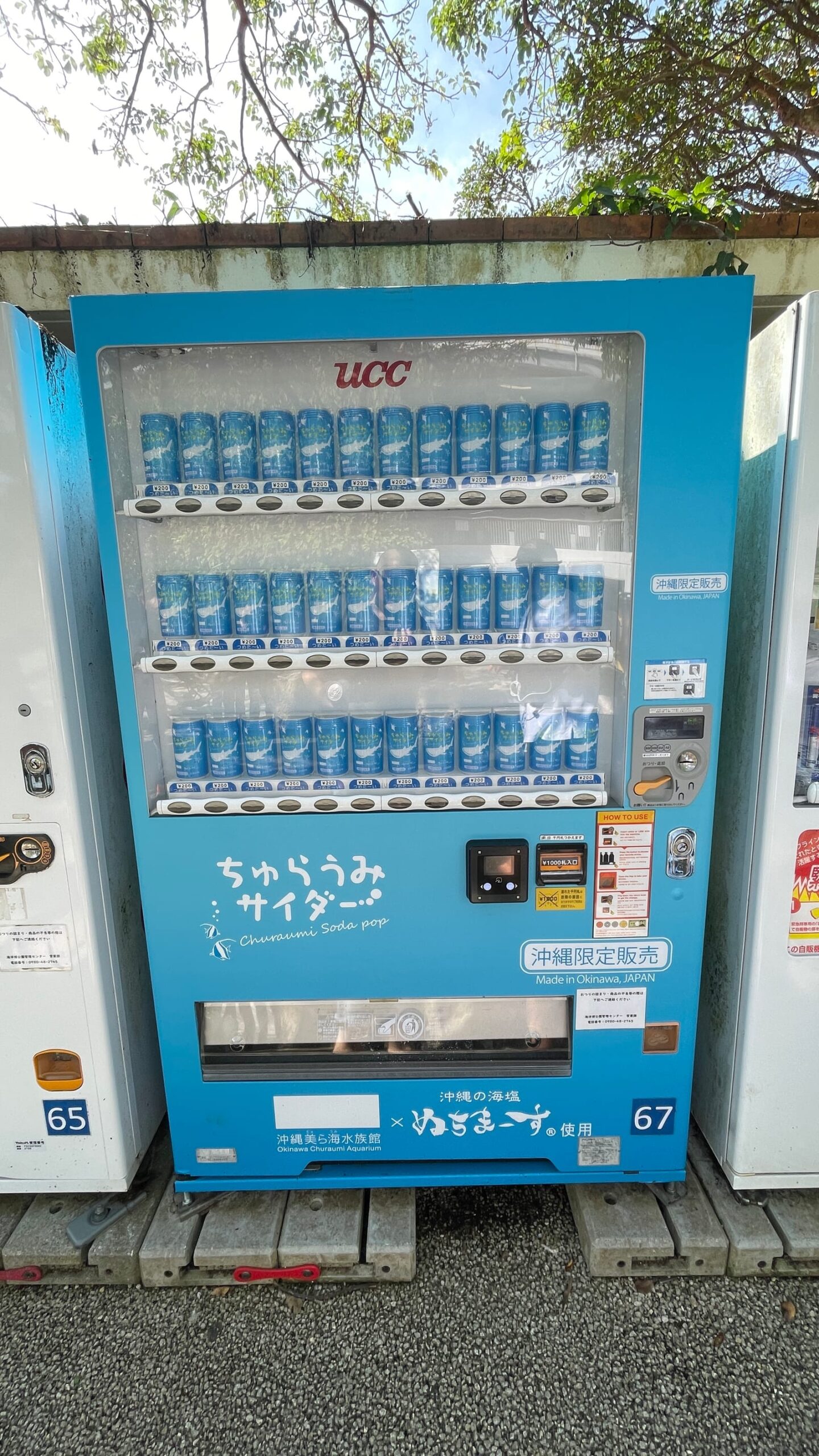 沖繩海洋博公園景點 4-3