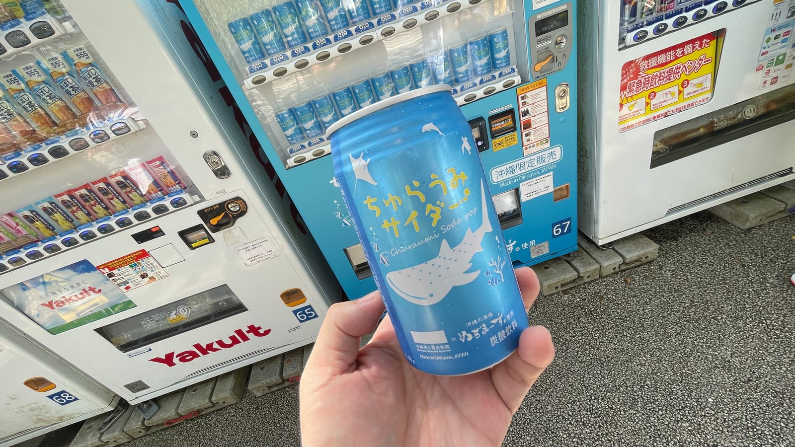 沖繩海洋博公園景點 4-4