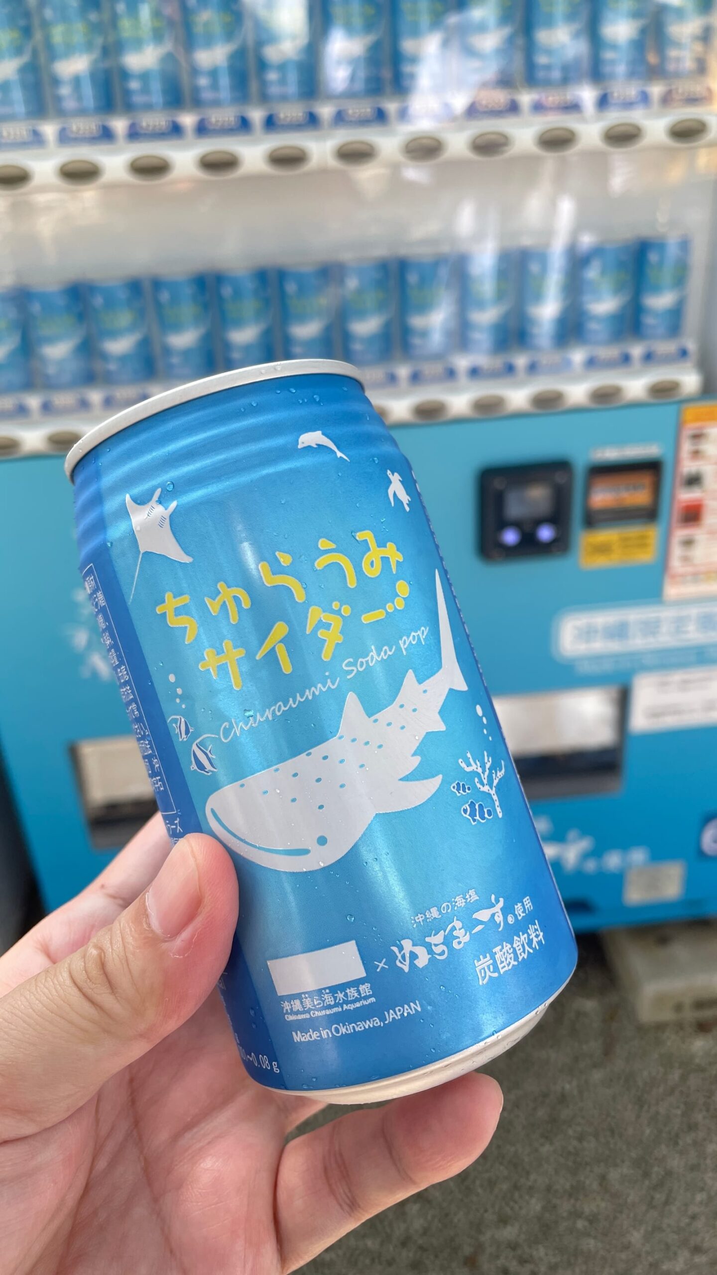 沖繩海洋博公園景點 4-5
