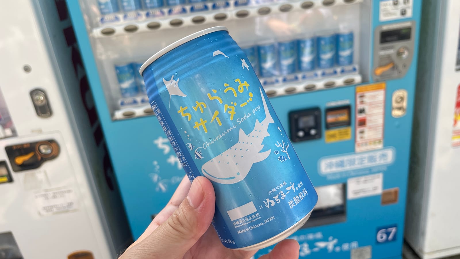 沖繩海洋博公園景點 4-6