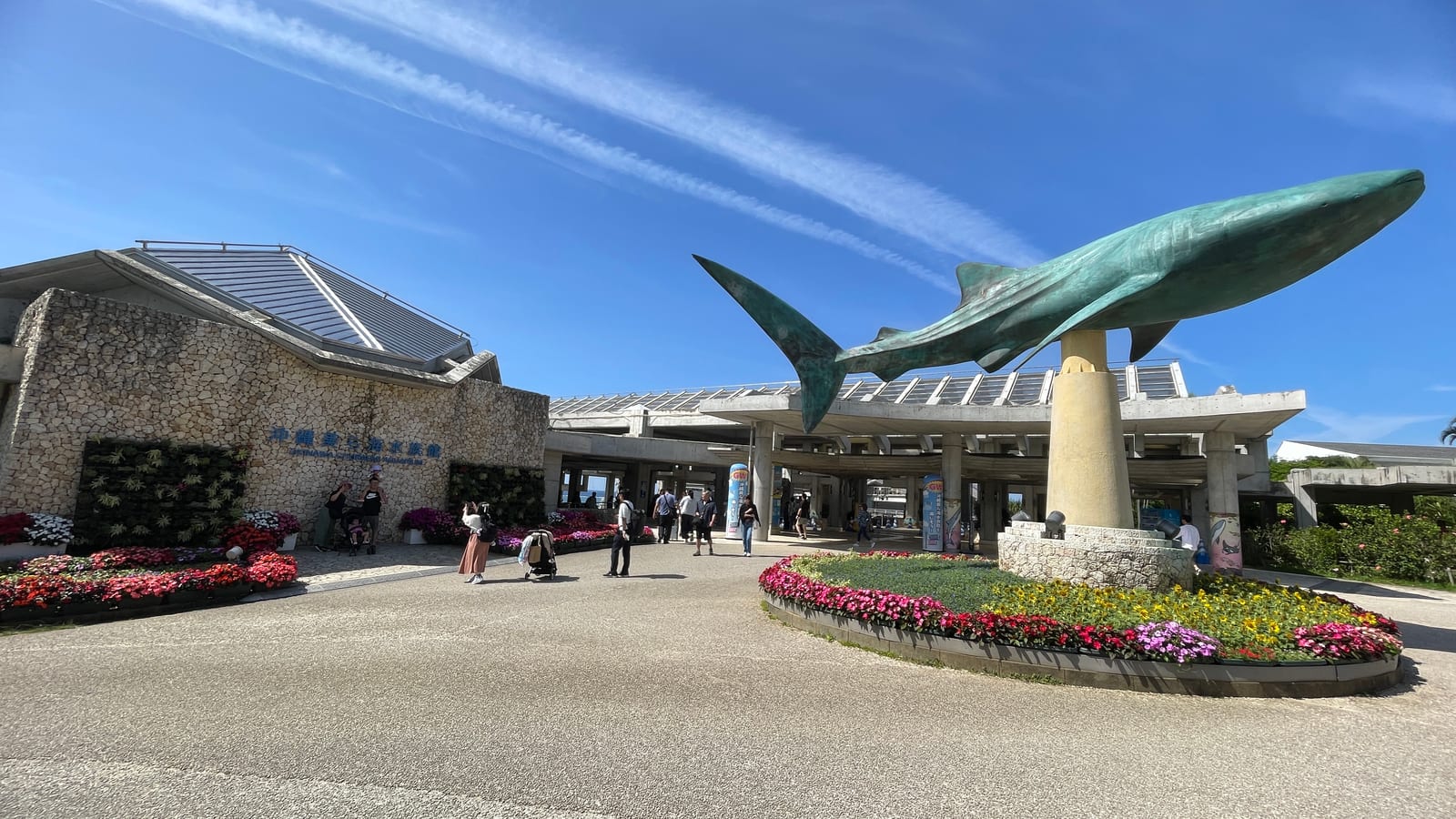 沖繩海洋博公園景點 4-2