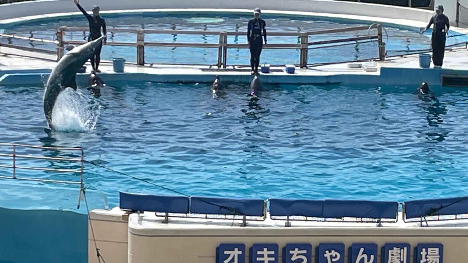沖繩海洋博公園景點 2-4