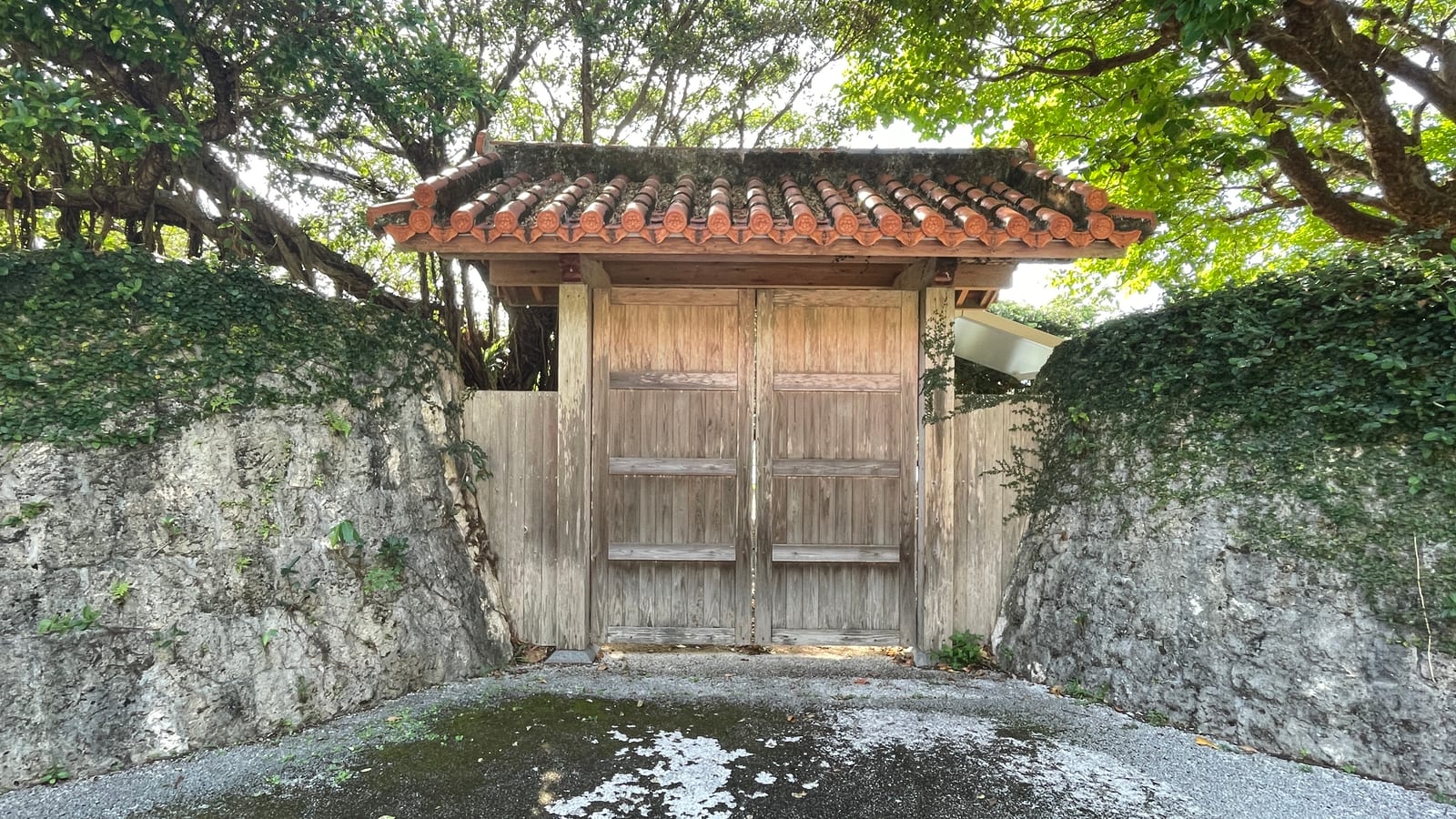 沖繩海洋博公園景點 3