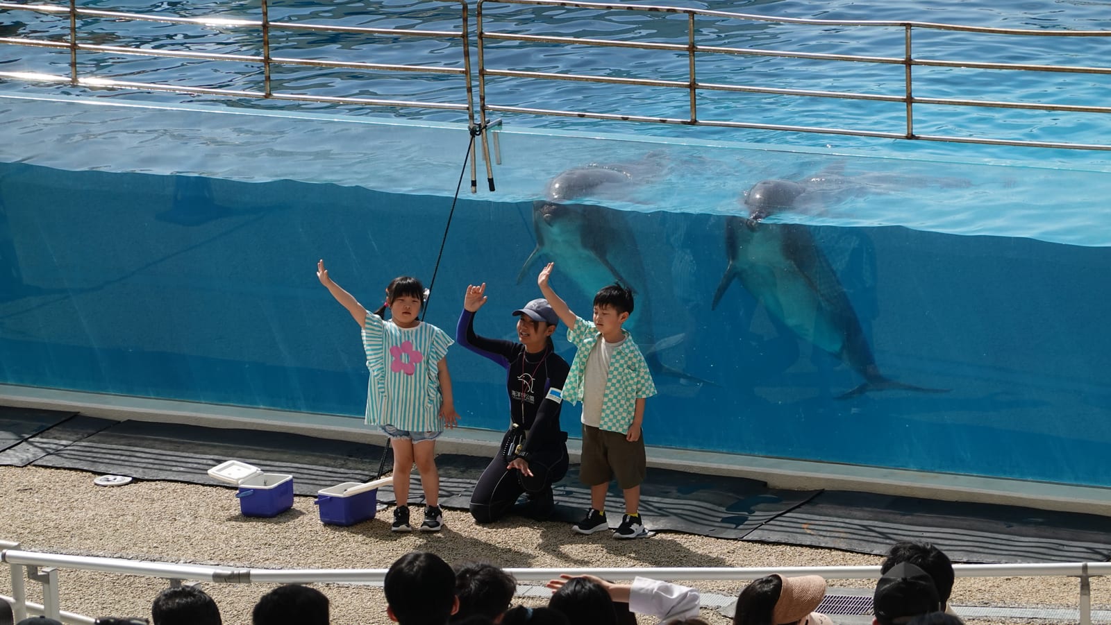 沖繩海洋博公園景點 2-7