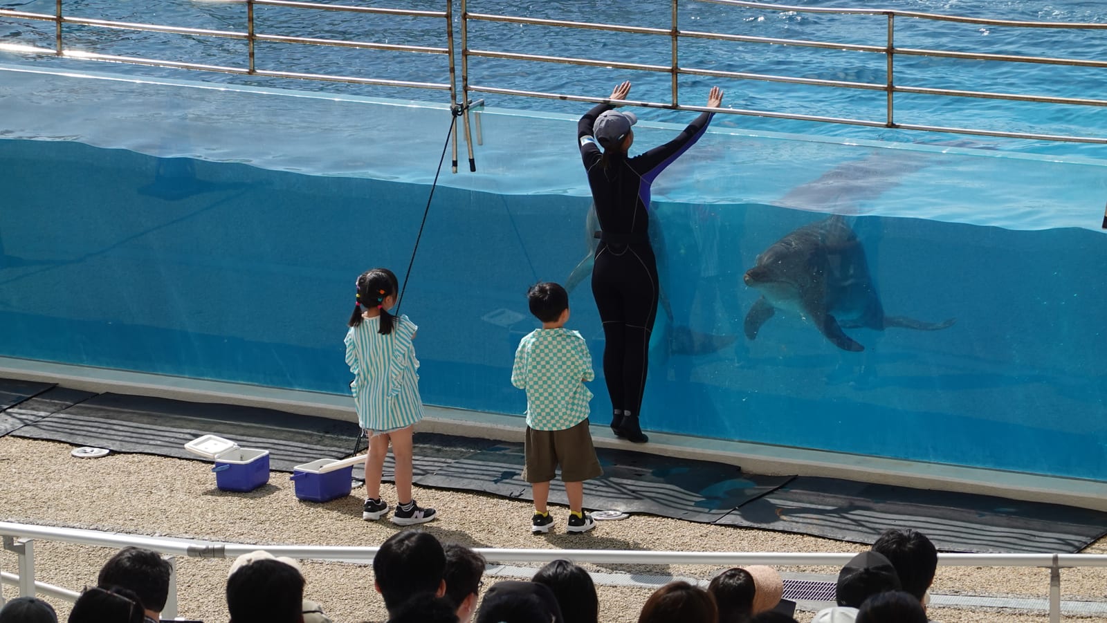 沖繩海洋博公園景點 2-8