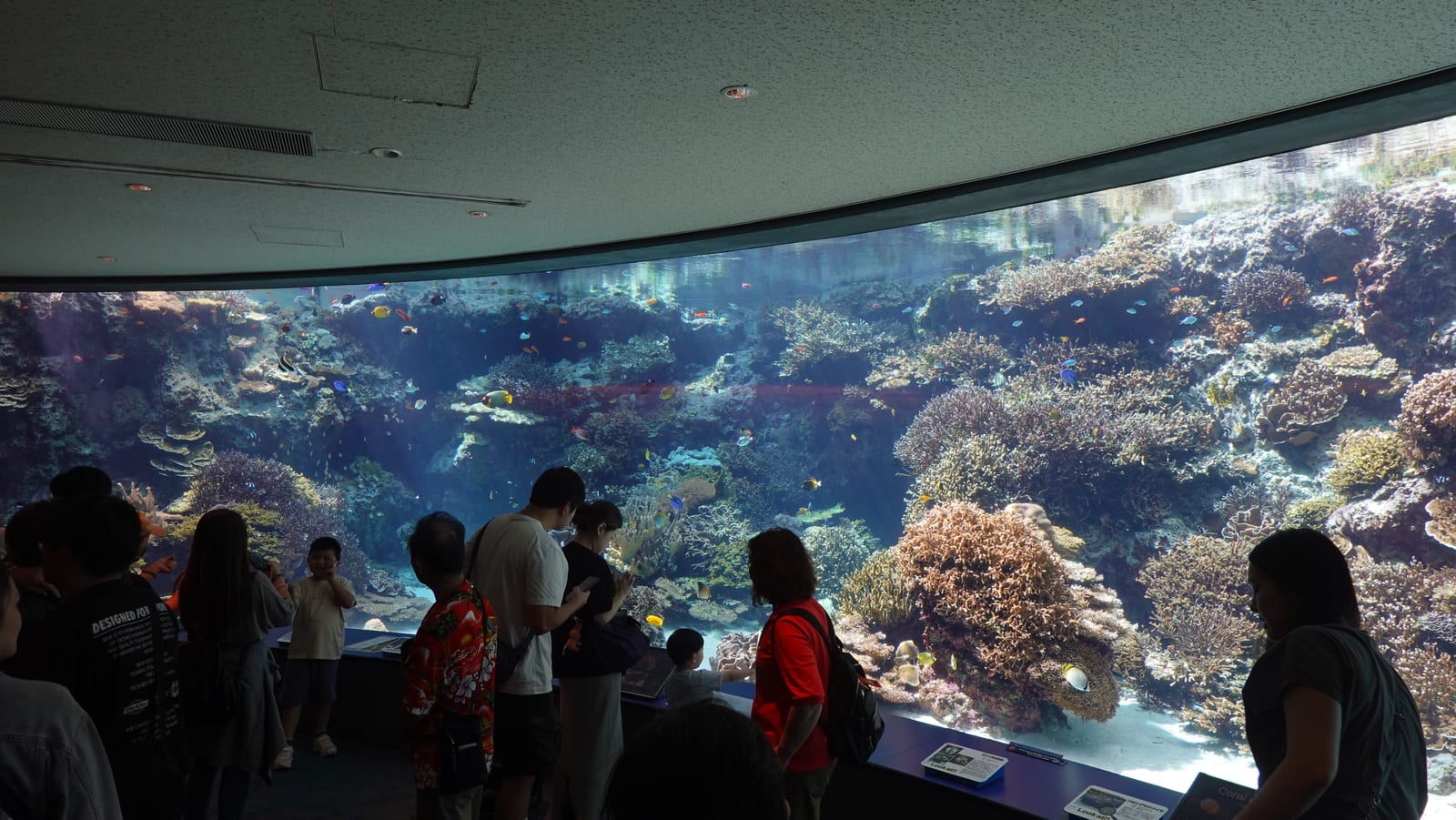 沖繩海洋博公園景點 1-3