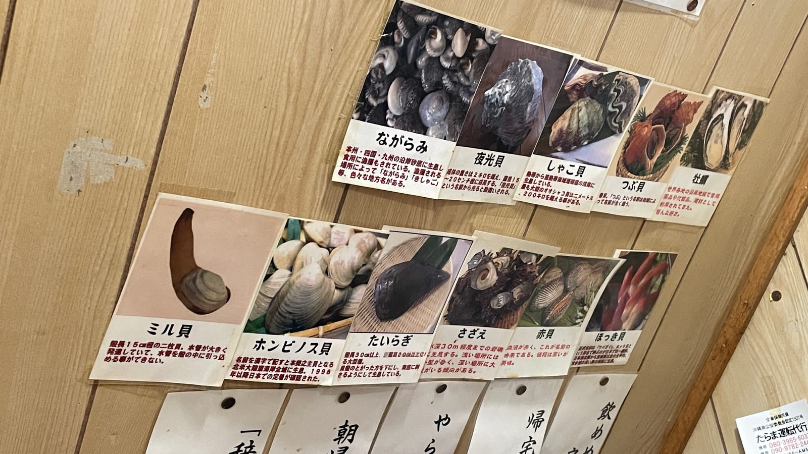 那霸榮町市場居酒屋 ひいき屋 貝料理 5-2