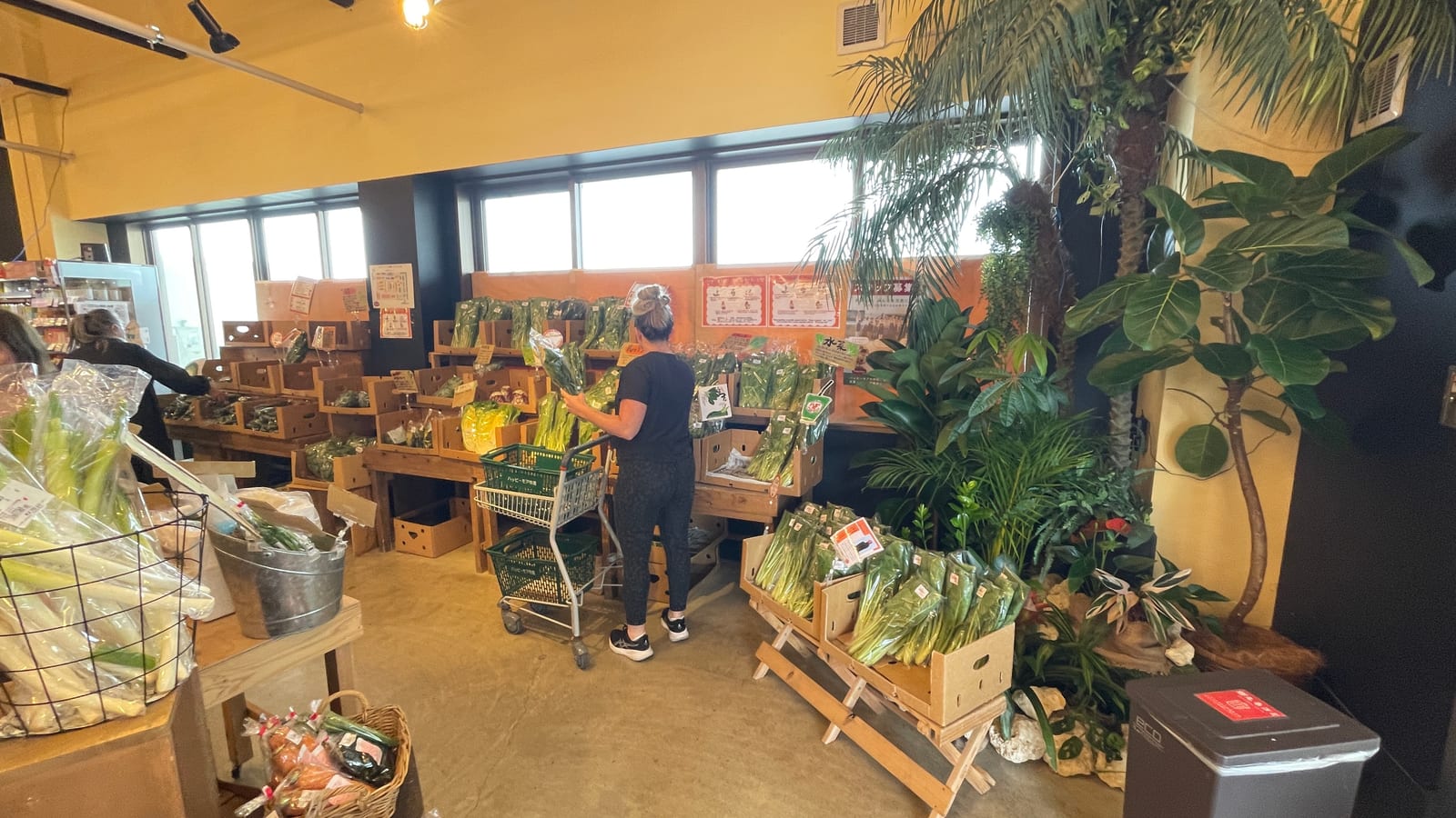 沖繩宜野灣Happy More Market小農超市 2-2
